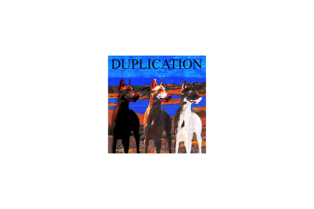 Duplication