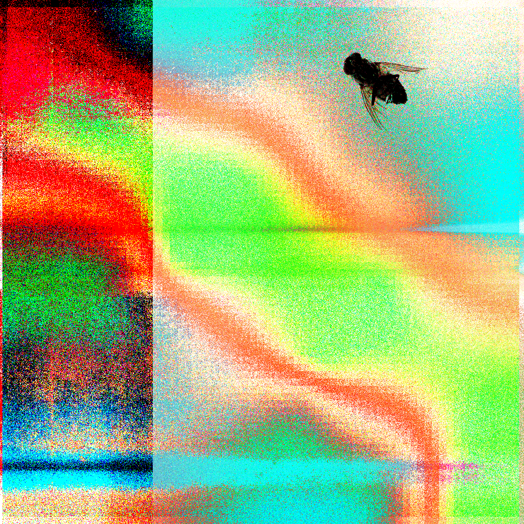 Muha abstract